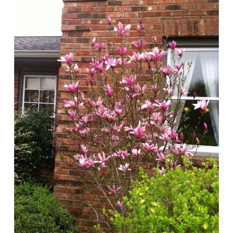 Nashville Tn Vacation Rentals Esterno foto